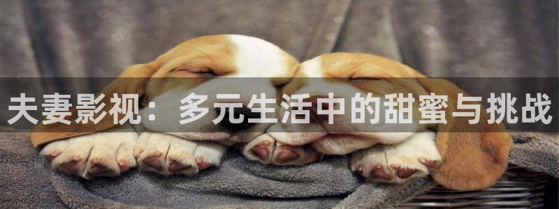 樱花私人电影院官网入口：夫妻影视：多元生活中的甜蜜与挑战