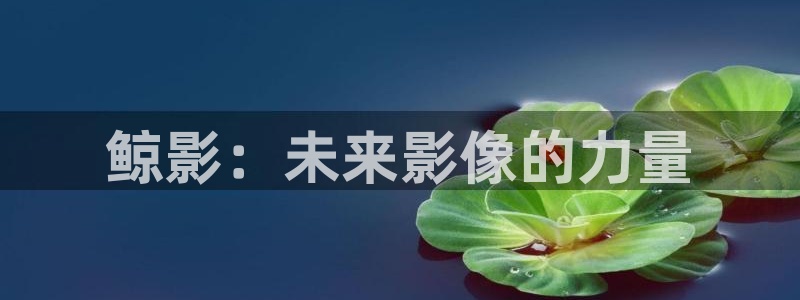 樱花在线影视：鲸影：未来影像的力量